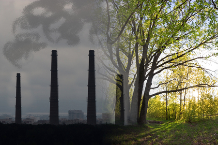 pollution turning into green nature. eco life concept