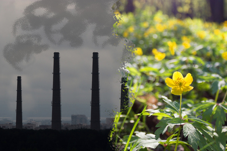 pollution turning into green nature. eco life conceptの写真素材