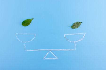 money and leaf on the scales. green responsible business concept