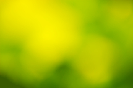 Green blurred background and sunlight. natural backgroundの写真素材