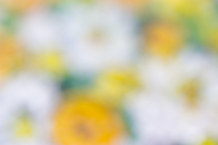 white and Yellow color background. blurred backgroundの写真素材