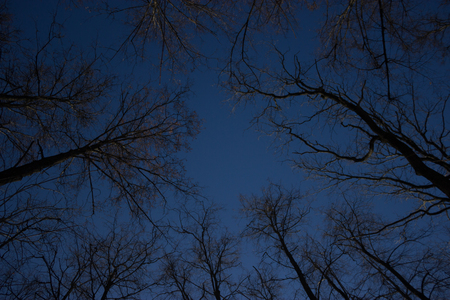 scary night sky. view up to the skyの写真素材