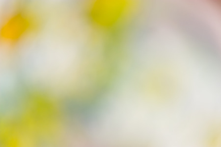 white and Yellow color background. blurred backgroundの写真素材