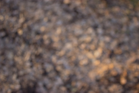 abstract brown background. yellow and brown lightsの写真素材