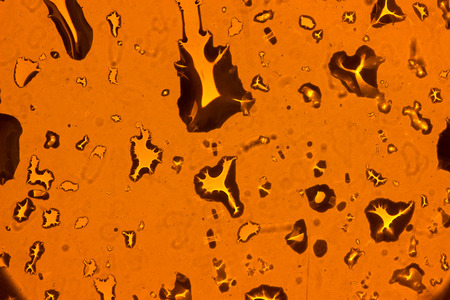 The Water Droplets on yellow background. backlit