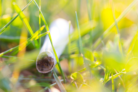 cigarette lay on the green grass background. eco conceptの写真素材