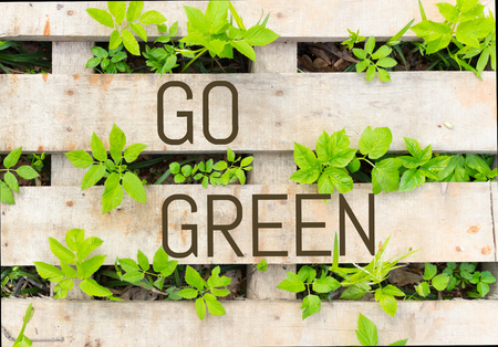 Go green concept image. green plants and woodの写真素材