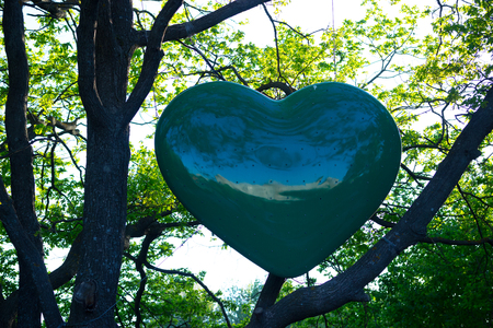 Tree of love in spring. big green heart on treeの写真素材