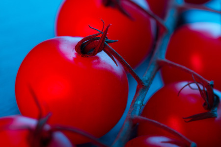 Cherry tomatoes close up in neon lightの写真素材