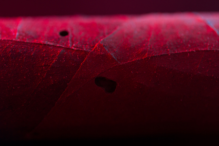 Close up of cigars in neon lightの写真素材