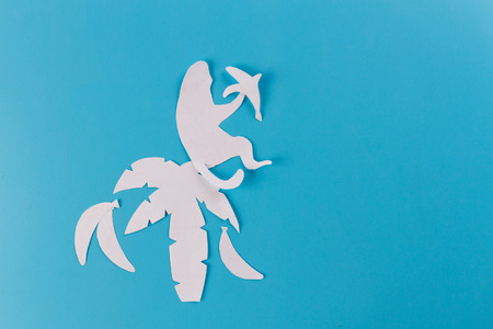 monkey on a palm tree on a beach. eating bananaの写真素材