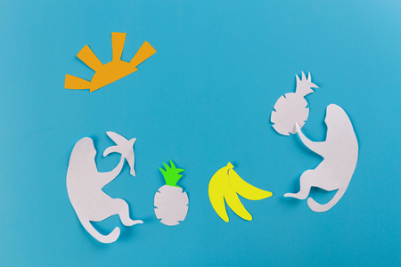 monkey on the beach with fruits. paper cutの写真素材