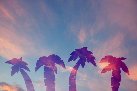 palm tree with copy space. concept imageの写真素材