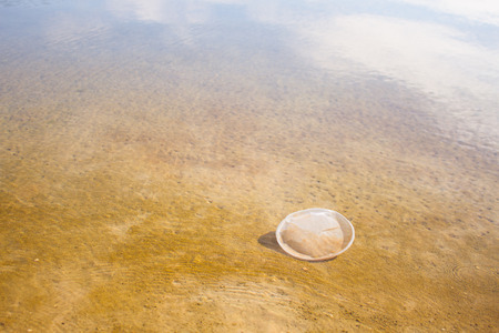 plastic in a lake. environmental pollution conceptの写真素材