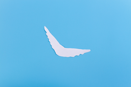 White dove flying in the sky. Template with a text field.の写真素材