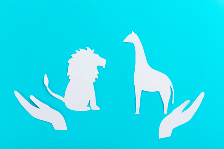 save african animals concept. hands protect animalsの写真素材