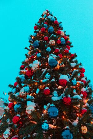 blurred image of a christmas tree on the streetの写真素材