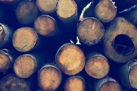 Firewood background image. Stack of round firewoodsの写真素材