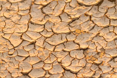 Top view of cracked soil in desertの写真素材