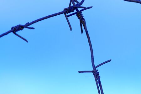 Barbed wire on fence on blue sky backgroundの写真素材