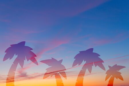 Beautiful clouds on the sky and palm treesの写真素材