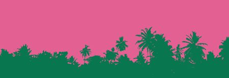 Sunset over palm trees. Tropical sunsetの写真素材