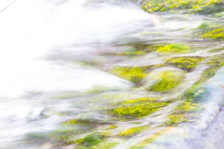 River flows close up. Small riverの写真素材