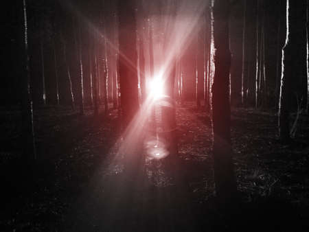 Spooky light in a forest. Horror image