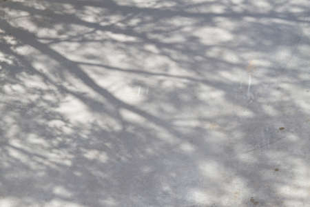 Abstract tree shadows in a park. Sunny day