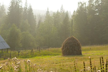 Bale of hay on the meadow. Mountains behandの写真素材