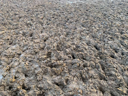 Close up of muddy ground. Ground after the rain