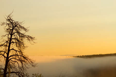 Beautiful foggy sunrise over hillsの写真素材