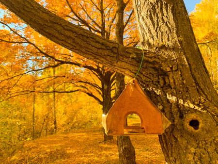 Bird house on a branch in autumnの写真素材