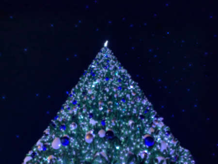 Illuminated christmas tree at nightの写真素材
