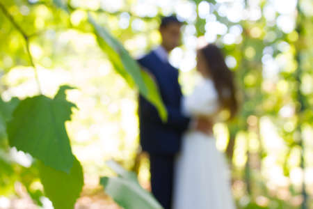 Bride and groom on nature background. Blurredの写真素材