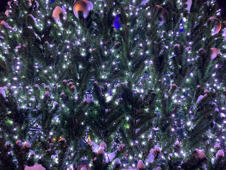 Christmas tree decorated with garlands, background.