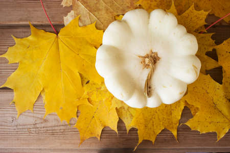 Pumpkin on autumn leaves background. copy spaceの写真素材