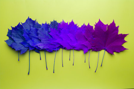Fantasy with violet autumn leaves. concept of being different
