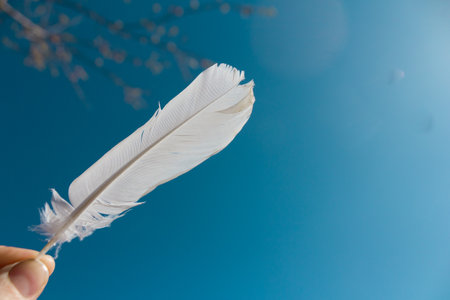 White feather over blue sky backgroundの写真素材