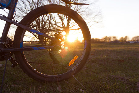 Bycycle in the field. Sunsetの写真素材