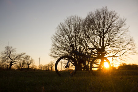 Bycycle in the field. Sunsetの写真素材