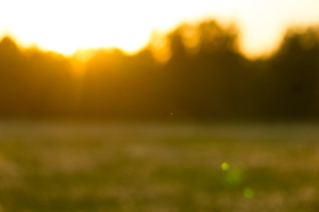 Blurred image of golden sunset. Natureの写真素材