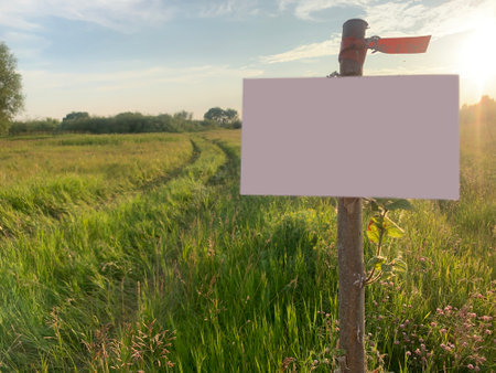 Mock up. Empty sign on the Country road goes in the meadow. Summerの写真素材