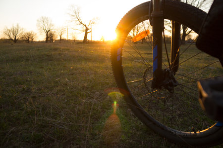 Bycycle in the field. Sunsetの写真素材