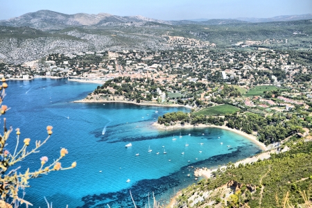 Cassis by Liwroの写真素材