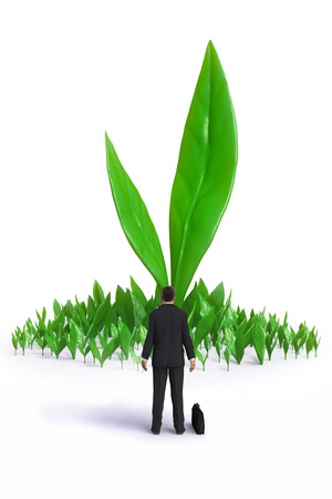 green sproutsの写真素材