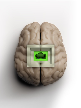 human brain isolated with socket for connectingの写真素材