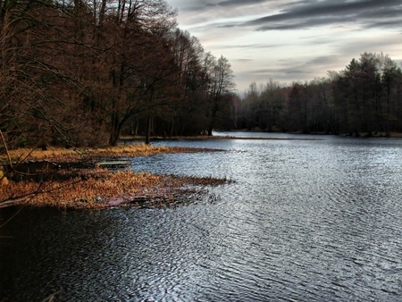 LeÅne jezioroの写真素材