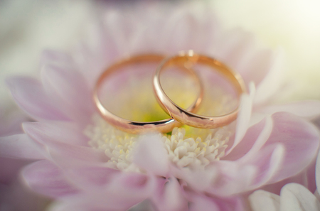 Wedding rings on flowersの写真素材
