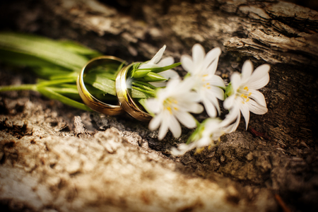 Wedding rings and small flowersの写真素材